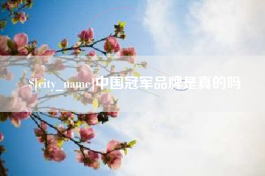 咸阳中国冠军品牌是真的吗