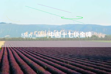 咸阳中国十七块金牌