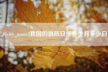 咸阳我国的消防日是多少月多少日