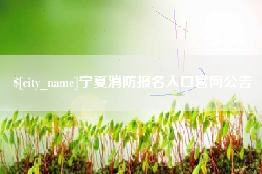 咸阳宁夏消防报名入口官网公告
