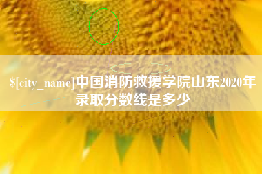 咸阳中国消防救援学院山东2020年录取分数线是多少