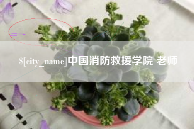 咸阳中国消防救援学院 老师