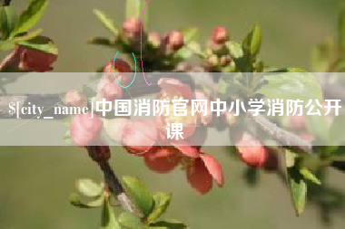 咸阳中国消防官网中小学消防公开课