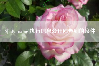 咸阳执行信息公开网查到的案件