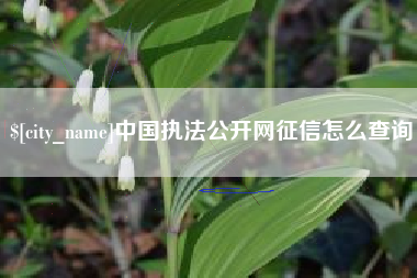 咸阳中国执法公开网征信怎么查询