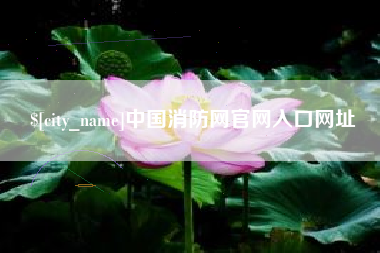 咸阳中国消防网官网入口网址