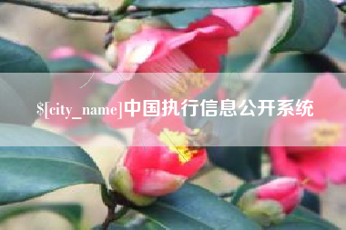 咸阳中国执行信息公开系统