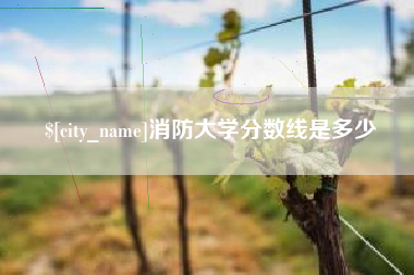 咸阳消防大学分数线是多少