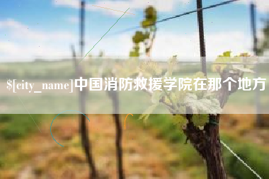 咸阳中国消防救援学院在那个地方