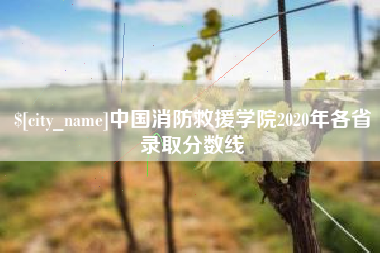 咸阳中国消防救援学院2020年各省录取分数线