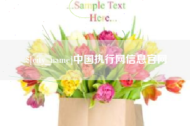 咸阳中国执行网信息官网