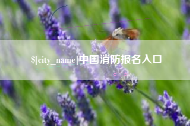咸阳中国消防报名入口
