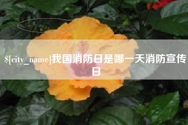 咸阳我国消防日是哪一天消防宣传日