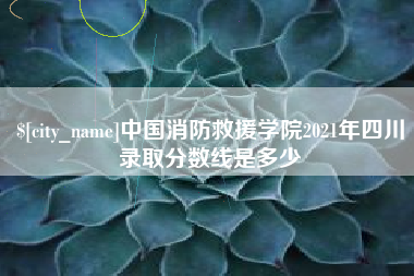 咸阳中国消防救援学院2021年四川录取分数线是多少
