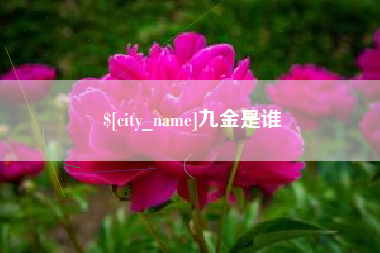 咸阳九金是谁