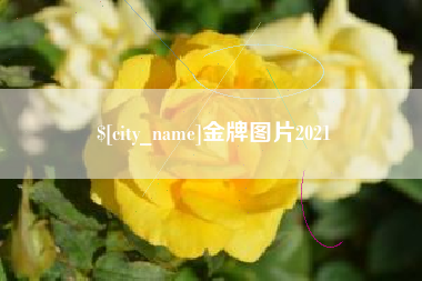 咸阳金牌图片2021