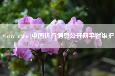 咸阳中国执行信息公开网平台维护