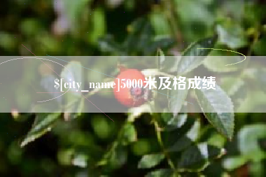 咸阳5000米及格成绩