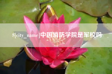 咸阳中国消防学院是军校吗