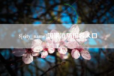 咸阳国家消防报名入口