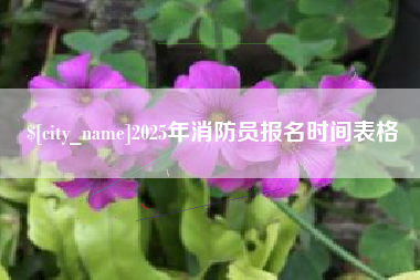 咸阳2025年消防员报名时间表格