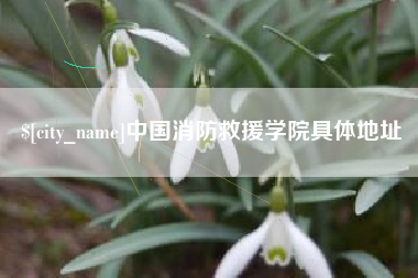 咸阳中国消防救援学院具体地址