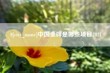 咸阳中国金牌是哪些项目2021