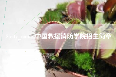 咸阳中国救援消防学院招生简章