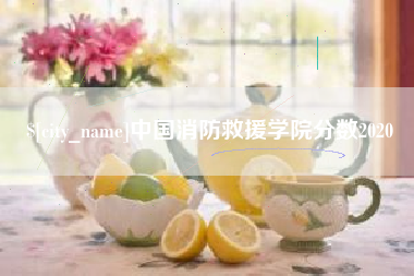 咸阳中国消防救援学院分数2020