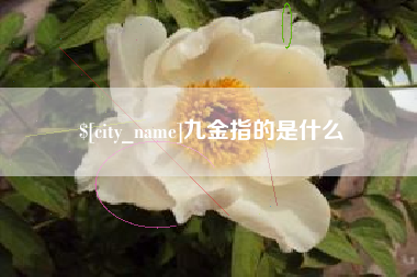 咸阳九金指的是什么