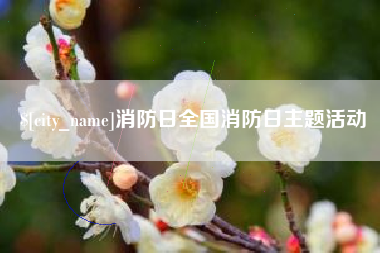 咸阳消防日全国消防日主题活动