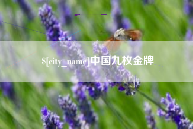咸阳中国九枚金牌