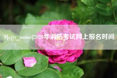 咸阳2020年消防考试网上报名时间