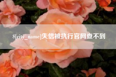 咸阳失信被执行官网查不到