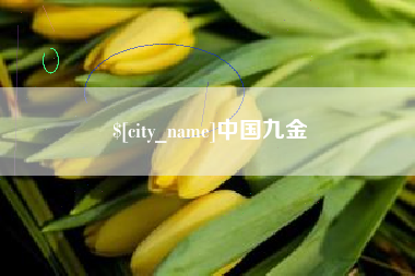 咸阳中国九金