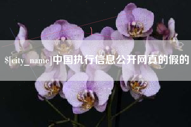 咸阳中国执行信息公开网真的假的