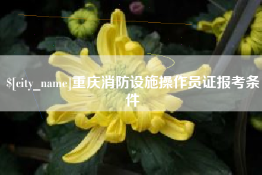 咸阳重庆消防设施操作员证报考条件