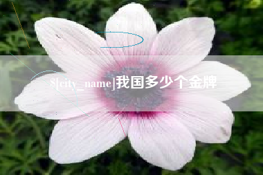 咸阳我国多少个金牌