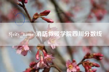 咸阳消防救援学院四川分数线