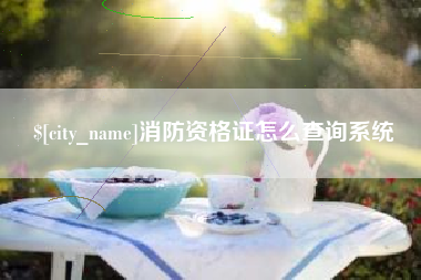 咸阳消防资格证怎么查询系统