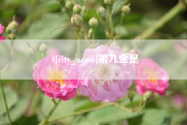 咸阳第九金是