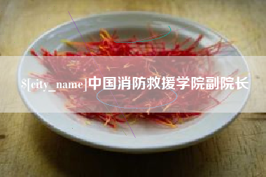 咸阳中国消防救援学院副院长