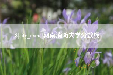咸阳河南消防大学分数线