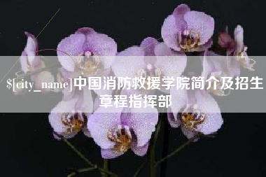 咸阳中国消防救援学院简介及招生章程指挥部