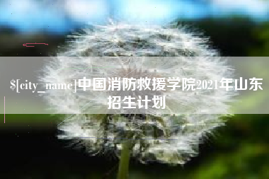 咸阳中国消防救援学院2021年山东招生计划
