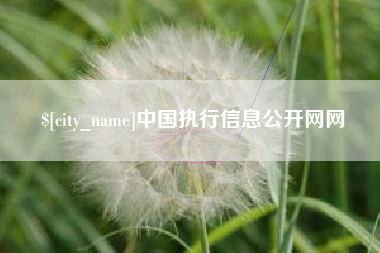 咸阳中国执行信息公开网网