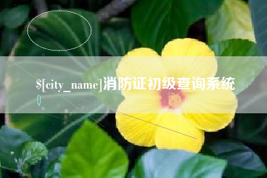 咸阳消防证初级查询系统