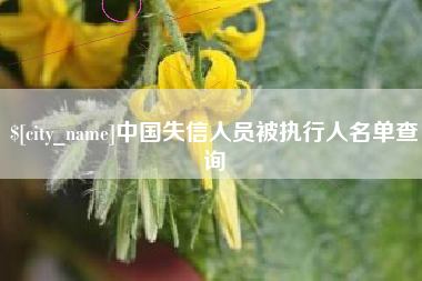 咸阳中国失信人员被执行人名单查询
