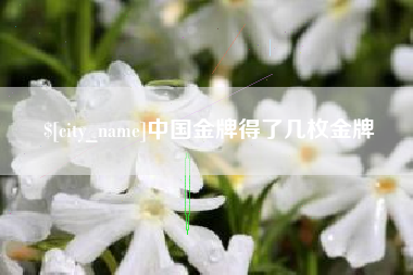 咸阳中国金牌得了几枚金牌