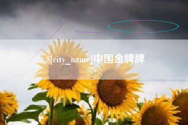 咸阳中国金牌牌